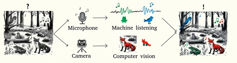 Illustration of automated habitat monitoring using acoustic and visual sensors, showcasing machine listening for bioacoustics and computer vision for camera-trap data for biodiversity estimation.